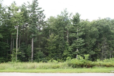 HUGE PRICE REDUCTION!! TAKE A LOOK!! Lots 30, 31 and 32, total on Pipestem Golf Club - Regulation in West Virginia - for sale on GolfHomes.com, golf home, golf lot