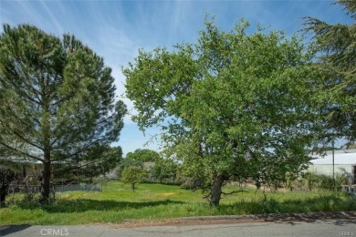 Prime Vacant Lot in Kelly Ridge Estates - Ready to Build!

All on Lake Oroville Golf and Event Center in California - for sale on GolfHomes.com, golf home, golf lot