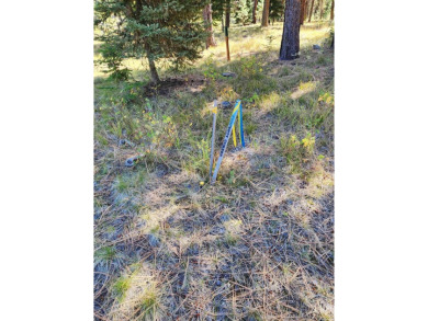 BUILD YOUR DREAM HOME! No need to install well or septic, both on Jug Mountain Ranch Golf Course in Idaho - for sale on GolfHomes.com, golf home, golf lot