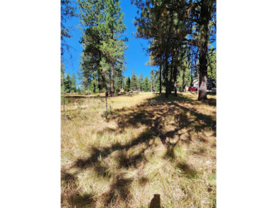 BUILD YOUR DREAM HOME! No need to install well or septic, both on Jug Mountain Ranch Golf Course in Idaho - for sale on GolfHomes.com, golf home, golf lot