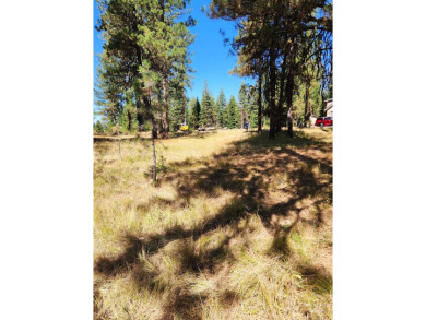 BUILD YOUR DREAM HOME! No need to install well or septic, both on Jug Mountain Ranch Golf Course in Idaho - for sale on GolfHomes.com, golf home, golf lot