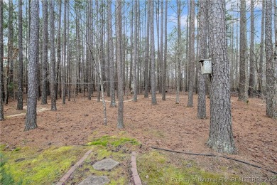 Welcome to this all-brick custom built 4-bedroom, 3-bathroom on Anderson Creek Golf Club in North Carolina - for sale on GolfHomes.com, golf home, golf lot