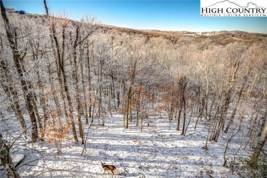 The epitome of mountain living and/or vacation get-away! This  4 on Beech Mountain Club in North Carolina - for sale on GolfHomes.com, golf home, golf lot