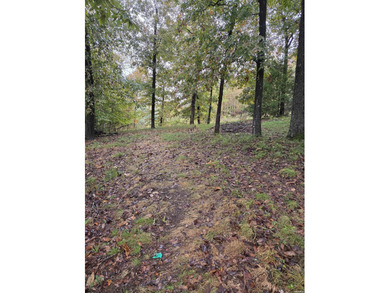 Build your dream home or weekend getaway on this stunning on Diamondhead Golf and Country Club in Arkansas - for sale on GolfHomes.com, golf home, golf lot