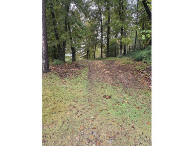 Build your dream home or weekend getaway on this stunning on Diamondhead Golf and Country Club in Arkansas - for sale on GolfHomes.com, golf home, golf lot