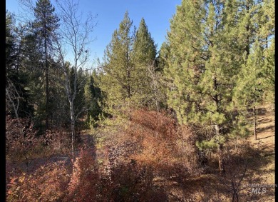 Enjoy building your dream retreat in Jug Mountain Ranch, that on Jug Mountain Ranch Golf Course in Idaho - for sale on GolfHomes.com, golf home, golf lot