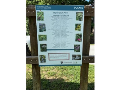 Peaceful Bella Vista Retreat with Access to Back 40 Trials

 on Bella Vista - Metfield Golf Complex and Country Club in Arkansas - for sale on GolfHomes.com, golf home, golf lot