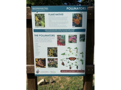 Peaceful Bella Vista Retreat with Access to Back 40 Trials

 on Bella Vista - Metfield Golf Complex and Country Club in Arkansas - for sale on GolfHomes.com, golf home, golf lot