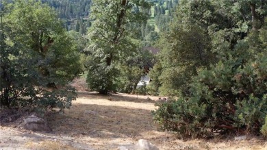 Prime Lot in Lake Arrowhead with Breathtaking Views  Lake on Lake Arrowhead Country Club in California - for sale on GolfHomes.com, golf home, golf lot