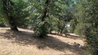 Prime Lot in Lake Arrowhead with Breathtaking Views  Lake on Lake Arrowhead Country Club in California - for sale on GolfHomes.com, golf home, golf lot