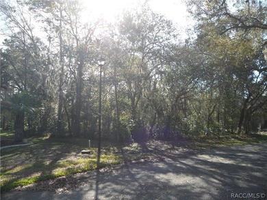 Welcome to the Oak Village Community of Sugarmill Woods. This on Sugarmill Woods Golf and Country Club in Florida - for sale on GolfHomes.com, golf home, golf lot