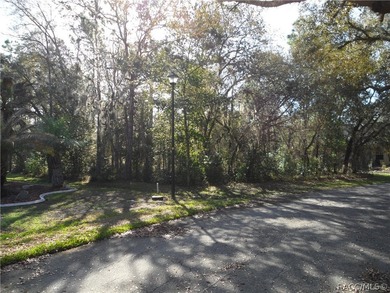 Welcome to the Oak Village Community of Sugarmill Woods. This on Sugarmill Woods Golf and Country Club in Florida - for sale on GolfHomes.com, golf home, golf lot