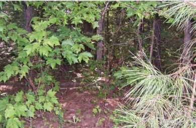 Prime Lot for Sale at 104 Shaman Dr, Louisburg, NC 27549!

 on River Golf and County Club at Lake Royale in North Carolina - for sale on GolfHomes.com, golf home, golf lot