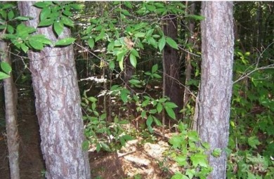 Prime Lot for Sale at 104 Shaman Dr, Louisburg, NC 27549!

 on River Golf and County Club at Lake Royale in North Carolina - for sale on GolfHomes.com, golf home, golf lot