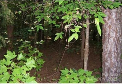 Prime Lot for Sale at 104 Shaman Dr, Louisburg, NC 27549!

 on River Golf and County Club at Lake Royale in North Carolina - for sale on GolfHomes.com, golf home, golf lot