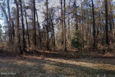 Build your dream home in Woodlake Country Club. Situated within on Woodlake Country Club in North Carolina - for sale on GolfHomes.com, golf home, golf lot