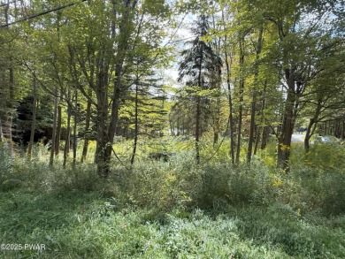 Rare Lakeview Building Opportunity in The Hideout! This on The Hideout Golf in Pennsylvania - for sale on GolfHomes.com, golf home, golf lot