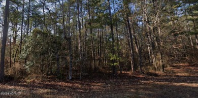 Build your dream home in Woodlake Country Club. Situated within on Woodlake Country Club in North Carolina - for sale on GolfHomes.com, golf home, golf lot
