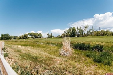 Shawn Carroll, NextHome Virtual, O: , shawn,  : Welcome to on Links At Cobble Creek in Colorado - for sale on GolfHomes.com, golf home, golf lot