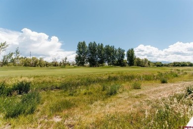 Shawn Carroll, NextHome Virtual, O: , shawn,  : Welcome to on Links At Cobble Creek in Colorado - for sale on GolfHomes.com, golf home, golf lot