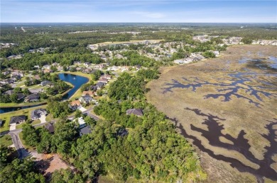 Stunning marsh front lot with water views located in the Laurel on Laurel Island Links in Georgia - for sale on GolfHomes.com, golf home, golf lot