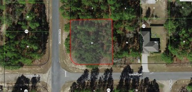 Buildable 0.33-acre oversized corner lot located in the on Pine Ridge Community Golf and Country Club in Florida - for sale on GolfHomes.com, golf home, golf lot