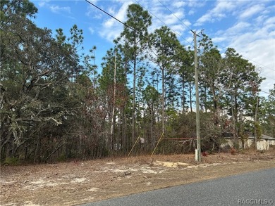 Buildable 0.33-acre oversized corner lot located in the on Pine Ridge Community Golf and Country Club in Florida - for sale on GolfHomes.com, golf home, golf lot