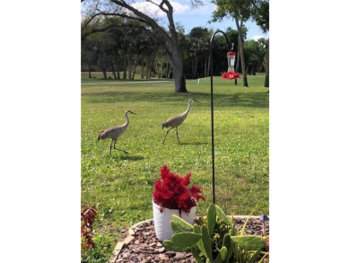 Enjoy a GOLF-COURSE VIEW from the privacy of your screened-in on Lehigh Resort Club in Florida - for sale on GolfHomes.com, golf home, golf lot