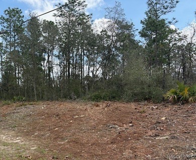 Located in the homes-only community of Citrus Springs, this on Pine Ridge Community Golf and Country Club in Florida - for sale on GolfHomes.com, golf home, golf lot