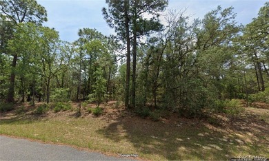 Nice building lot is Citrus Springs!! ...with public water lines on Pine Ridge Community Golf and Country Club in Florida - for sale on GolfHomes.com, golf home, golf lot
