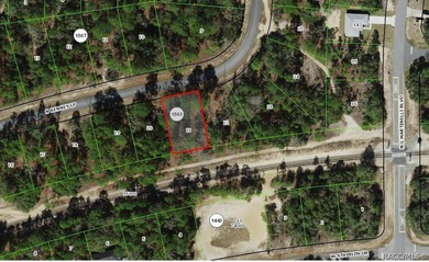 Nice building lot is Citrus Springs!! ...with public water lines on Pine Ridge Community Golf and Country Club in Florida - for sale on GolfHomes.com, golf home, golf lot
