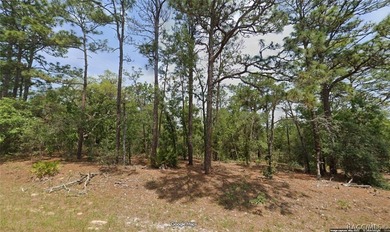 This piece of sunny Florida is literally minutes from US 41/N on Pine Ridge Community Golf and Country Club in Florida - for sale on GolfHomes.com, golf home, golf lot