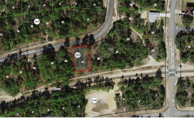 This piece of sunny Florida is literally minutes from US 41/N on Pine Ridge Community Golf and Country Club in Florida - for sale on GolfHomes.com, golf home, golf lot