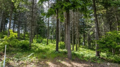 At 1.35-acres, this expansive homesite, located in the private on Suncadia Resort in Washington - for sale on GolfHomes.com, golf home, golf lot