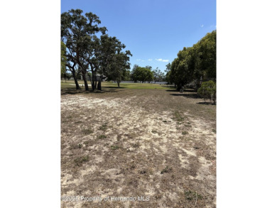 One of the few remaining lots in 55+ community. AND its on the on High Point Golf Club, Inc. in Florida - for sale on GolfHomes.com, golf home, golf lot