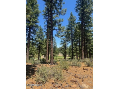 At the start of a quiet cul-de-sac is a homesite with beautiful on Clear Creek Tahoe in Nevada - for sale on GolfHomes.com, golf home, golf lot