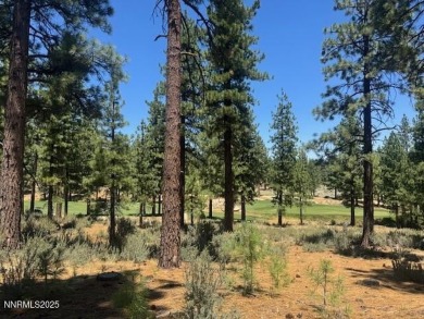 At the start of a quiet cul-de-sac is a homesite with beautiful on Clear Creek Tahoe in Nevada - for sale on GolfHomes.com, golf home, golf lot