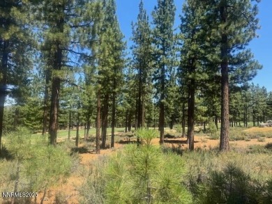 A perfect one and one half acre, lovely trees and natural on Clear Creek Tahoe in Nevada - for sale on GolfHomes.com, golf home, golf lot