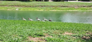 Wonderful views, and conveniently located? Yes! Enjoy all this on Lake Wales Country Club in Florida - for sale on GolfHomes.com, golf home, golf lot