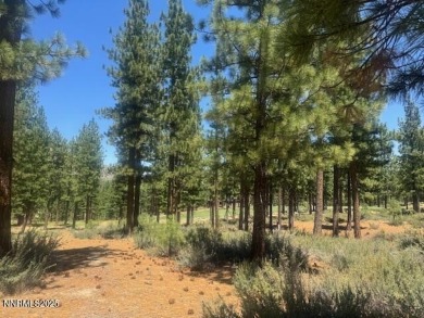 A perfect one and one half acre, lovely trees and natural on Clear Creek Tahoe in Nevada - for sale on GolfHomes.com, golf home, golf lot