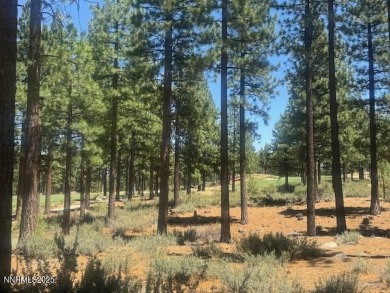 A perfect one and one half acre, lovely trees and natural on Clear Creek Tahoe in Nevada - for sale on GolfHomes.com, golf home, golf lot
