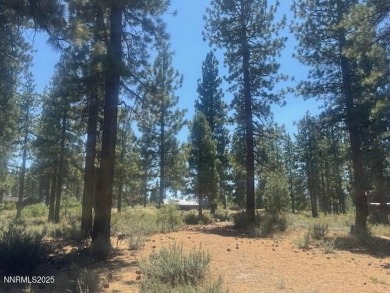 A perfect one and one half acre, lovely trees and natural on Clear Creek Tahoe in Nevada - for sale on GolfHomes.com, golf home, golf lot