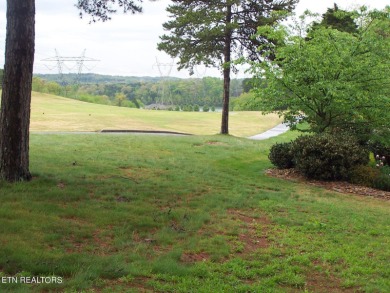 Large golf course building lot on Tanasi Golf Course on the 12th on Tanasi Golf Course in Tennessee - for sale on GolfHomes.com, golf home, golf lot