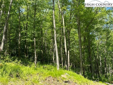 This beautiful 2 acre lot is located in the Eagle Springs on Elk River Club in North Carolina - for sale on GolfHomes.com, golf home, golf lot