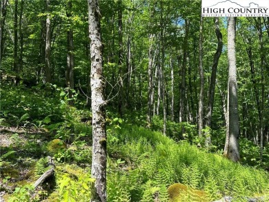 This beautiful 2 acre lot is located in the Eagle Springs on Elk River Club in North Carolina - for sale on GolfHomes.com, golf home, golf lot