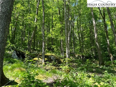 This beautiful 2 acre lot is located in the Eagle Springs on Elk River Club in North Carolina - for sale on GolfHomes.com, golf home, golf lot