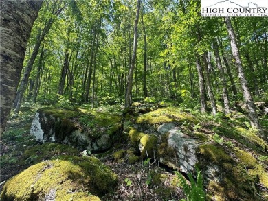 This beautiful 2 acre lot is located in the Eagle Springs on Elk River Club in North Carolina - for sale on GolfHomes.com, golf home, golf lot