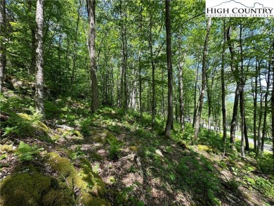 This beautiful 2 acre lot is located in the Eagle Springs on Elk River Club in North Carolina - for sale on GolfHomes.com, golf home, golf lot