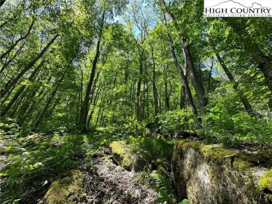 This beautiful 2 acre lot is located in the Eagle Springs on Elk River Club in North Carolina - for sale on GolfHomes.com, golf home, golf lot