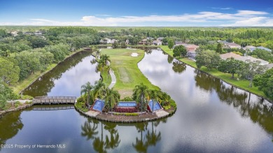 Highly sought-after, top-rated, US News Award Winning schools: on Heritage Harbor Golf and Country Club in Florida - for sale on GolfHomes.com, golf home, golf lot